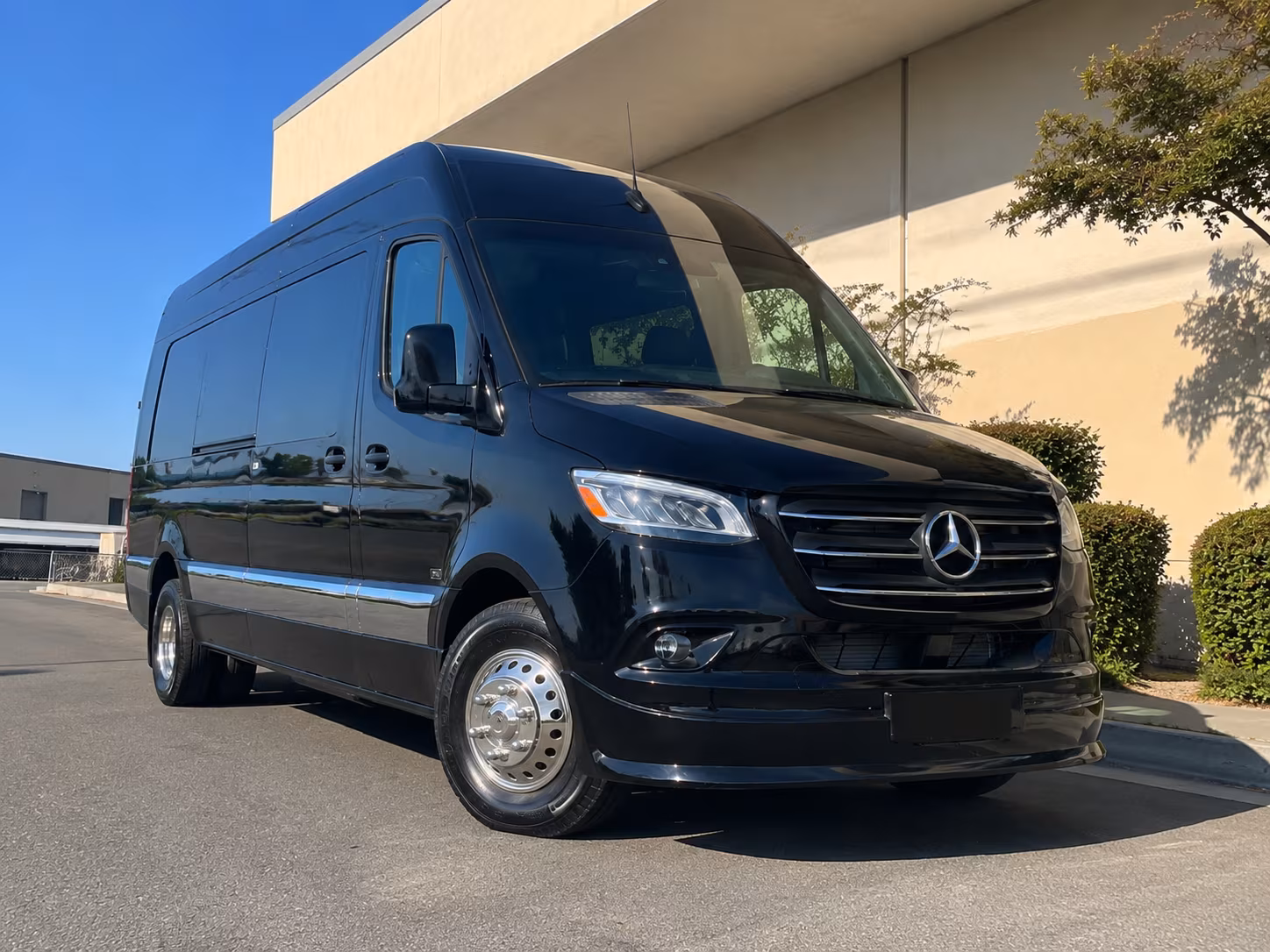 mcallen 12 passenger sprinter van