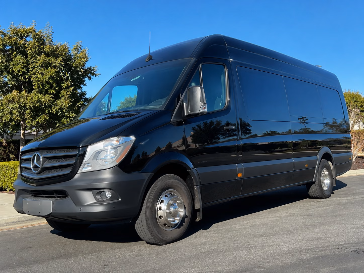 McAllen Wedding Transportation