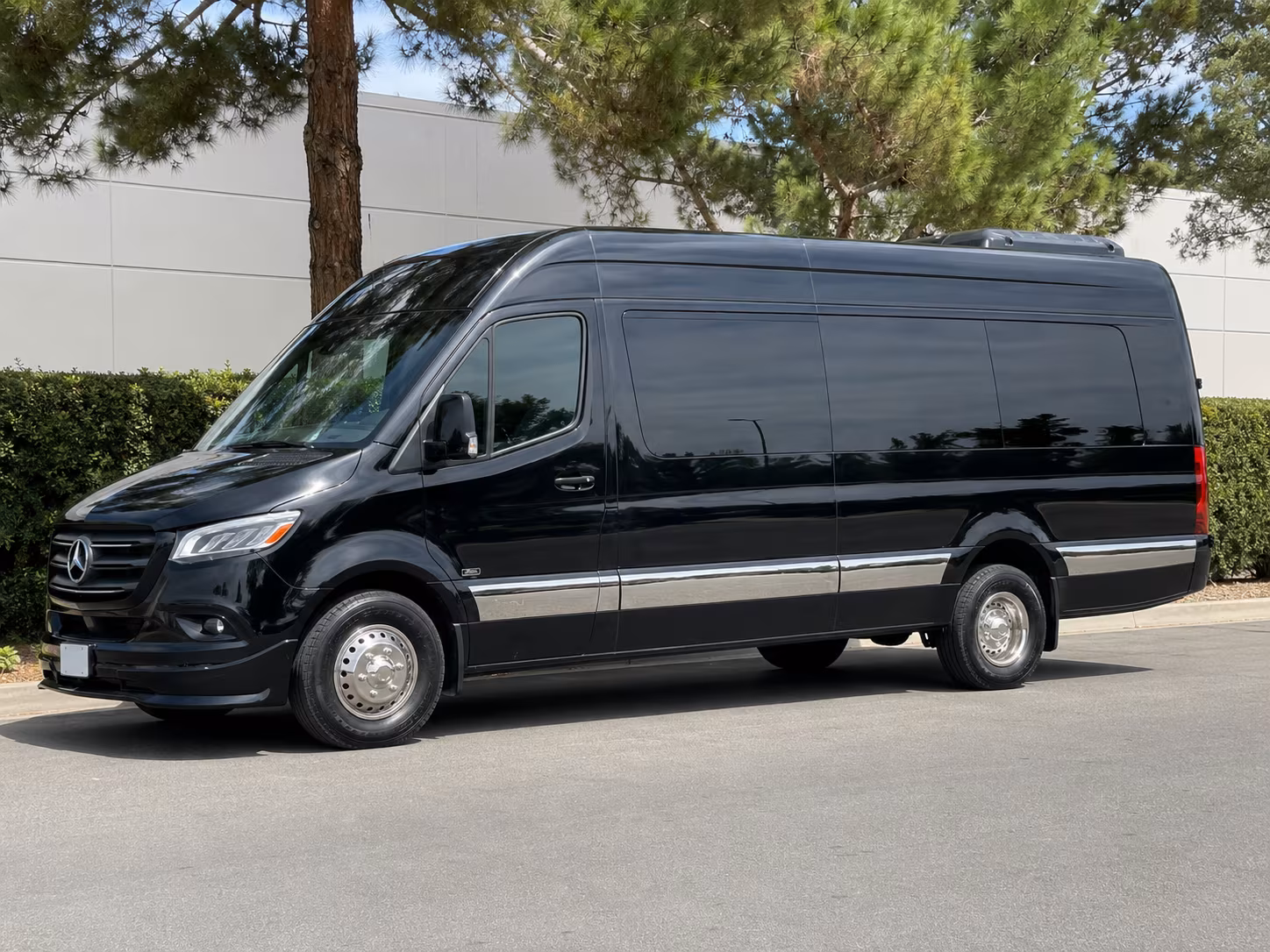 sprinter van options for mcallen trips